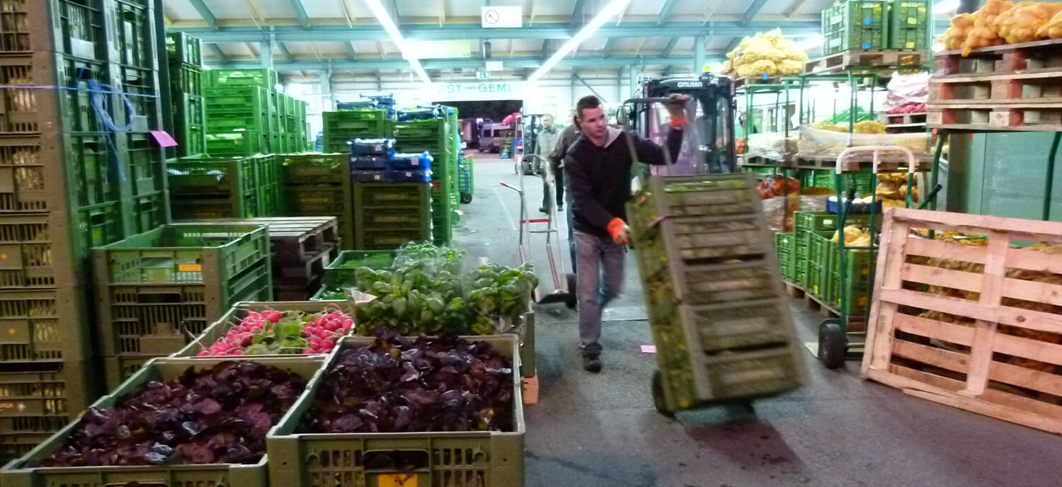 Salat & Gemüse Lieferung Großmarkt München